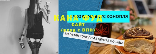 ECSTASY Алзамай