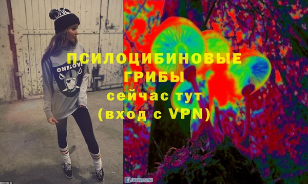 молекула духа Армянск