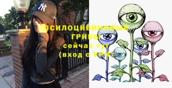 молекула духа Армянск