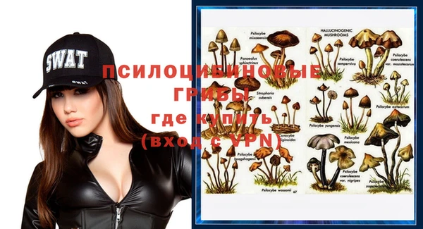 метамфетамин Алексин