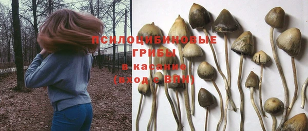 не бодяженный Баксан