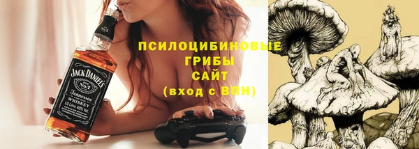 молекула духа Армянск