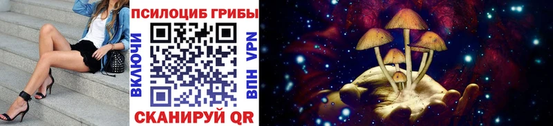 Галлюциногенные грибы ЛСД  Дорогобуж 
