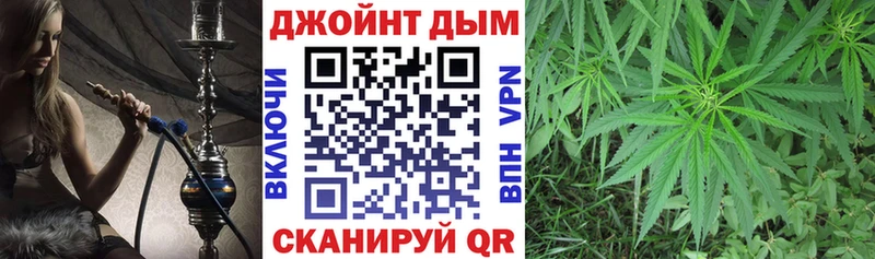 МАРИХУАНА сатива  закладки  Дорогобуж 